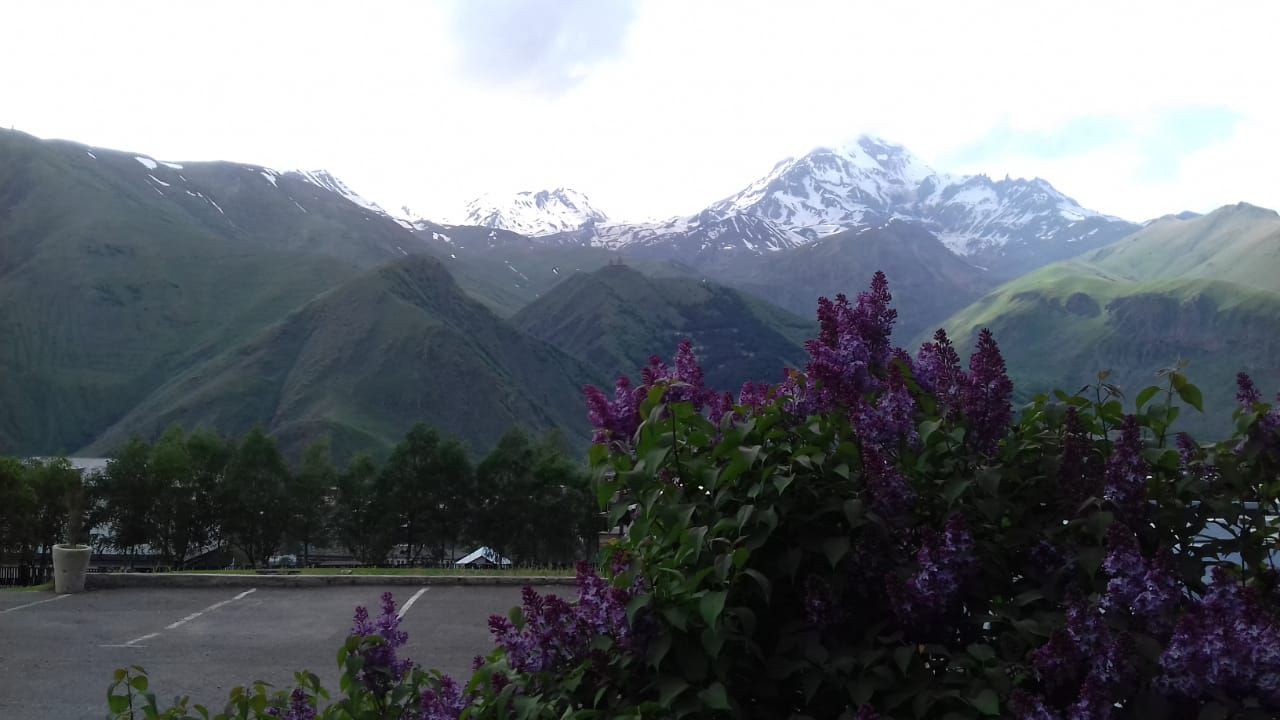 Фантастическая Грузия! 7 дней ярких впечатлений с душевным гидом Сандро (68/420)