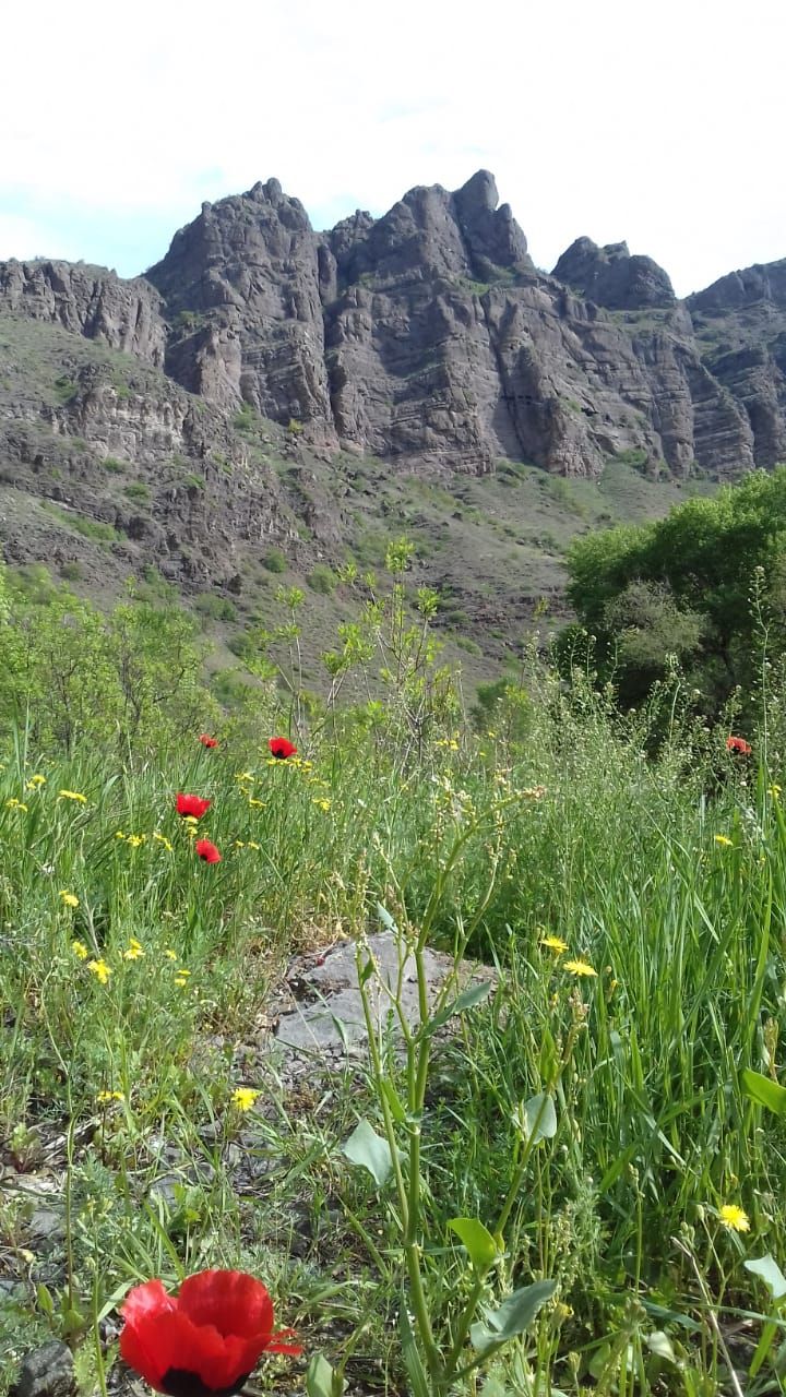 Фантастическая Грузия! 7 дней ярких впечатлений с душевным гидом Сандро (168/420)