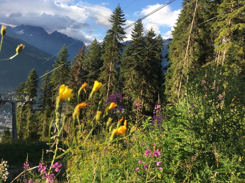 Фантастическая Грузия! 7 дней ярких впечатлений с душевным гидом Сандро (227/420)