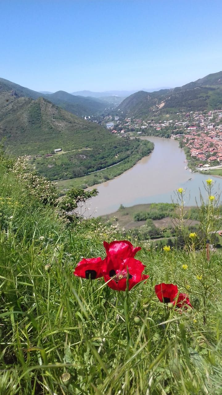 Фантастическая Грузия! 7 дней ярких впечатлений с душевным гидом Сандро (167/420)