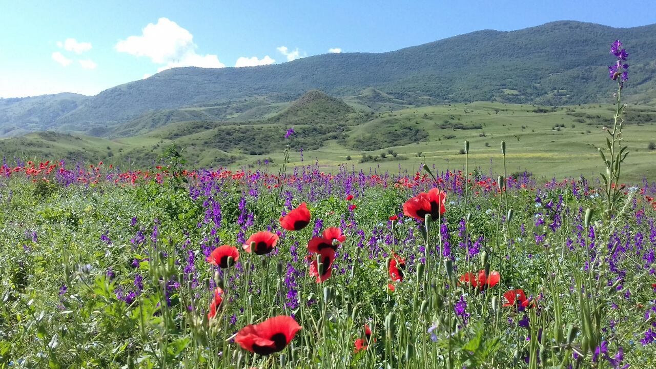Фантастическая Грузия! 7 дней ярких впечатлений с душевным гидом Сандро (169/420)