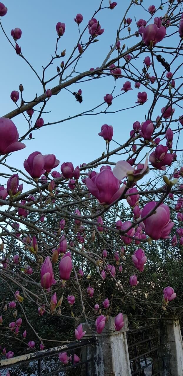 Фантастическая Грузия! 7 дней ярких впечатлений с душевным гидом Сандро (184/420)