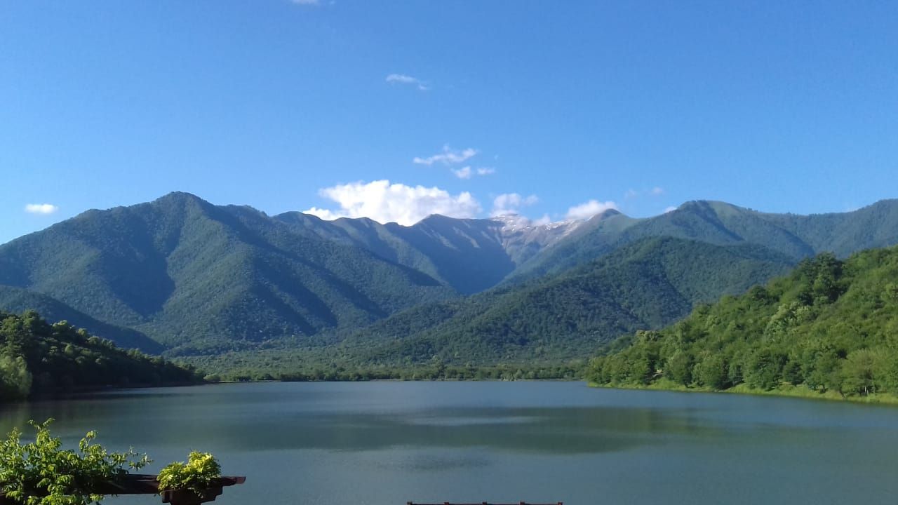 Фантастическая Грузия! 7 дней ярких впечатлений с душевным гидом Сандро (64/420)