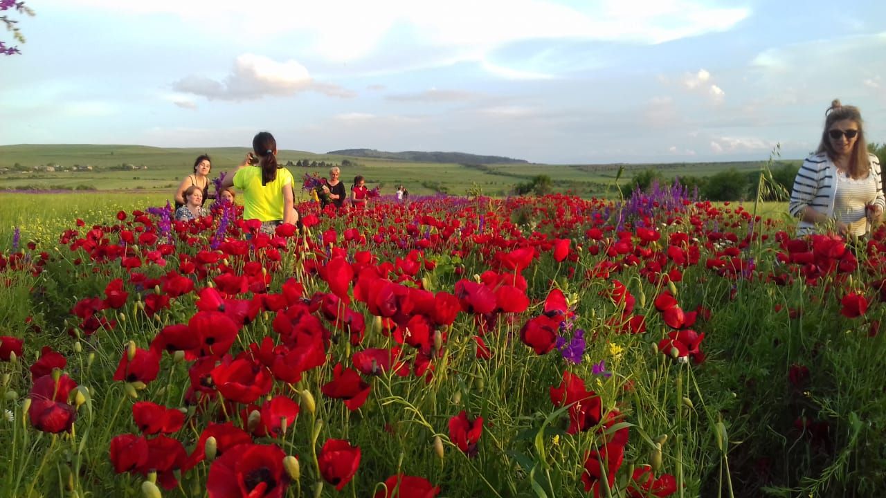 Фантастическая Грузия! 7 дней ярких впечатлений с душевным гидом Сандро (144/420)