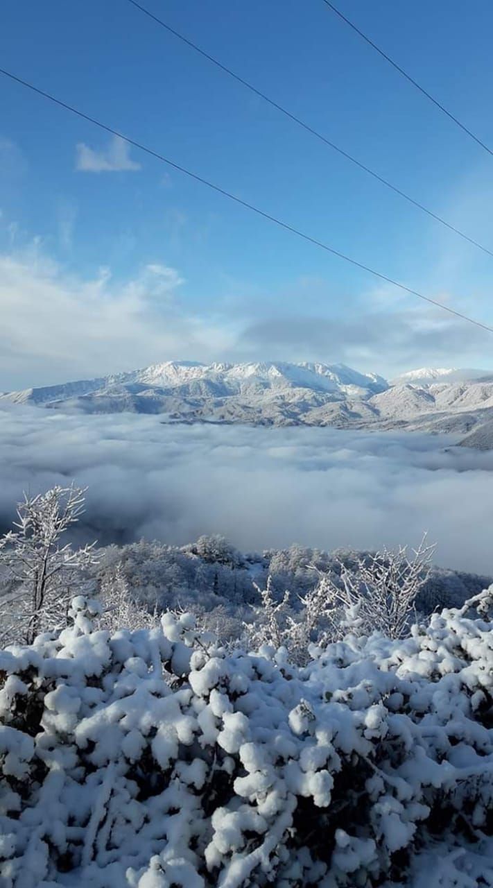 Фантастическая Грузия! 7 дней ярких впечатлений с душевным гидом Сандро (192/420)