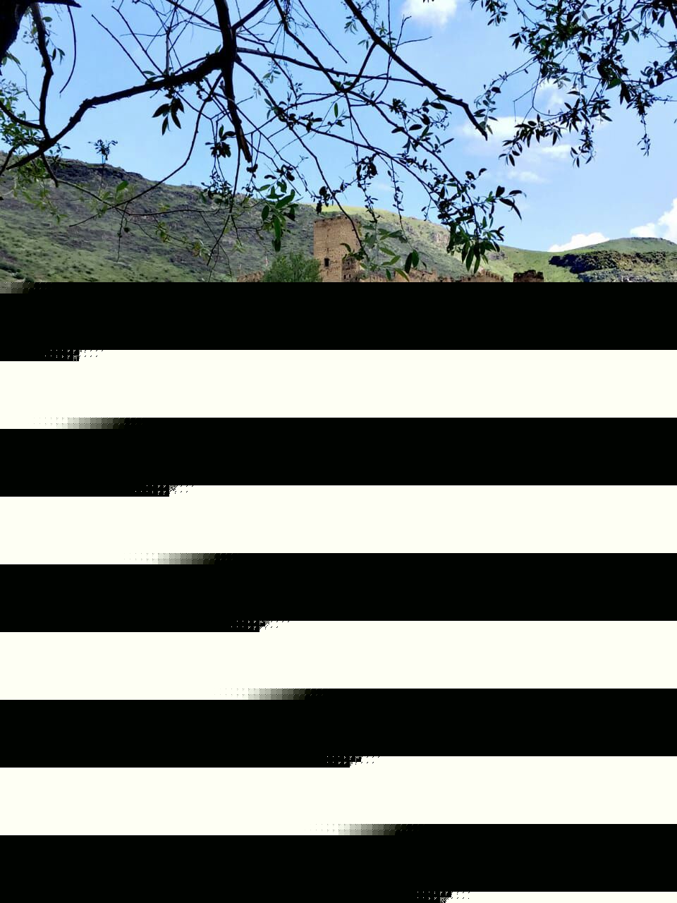 Фантастическая Грузия! 7 дней ярких впечатлений с душевным гидом Сандро (252/420)