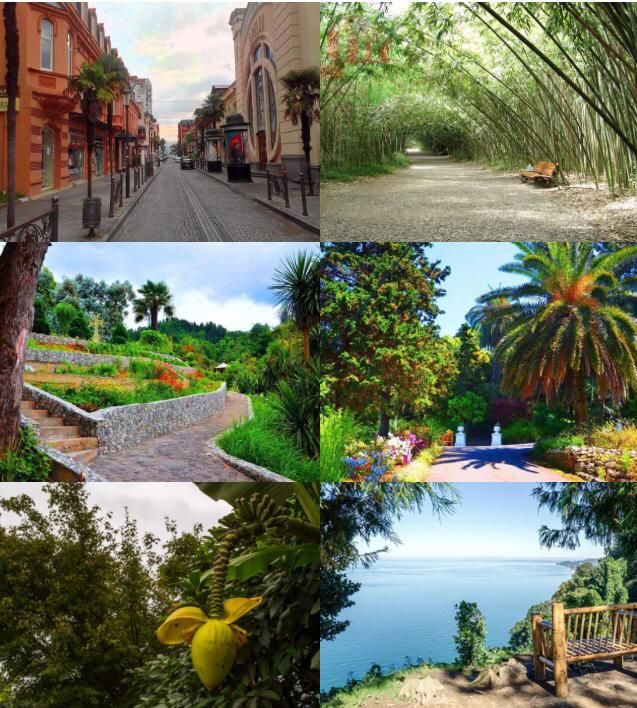 Фантастическая Грузия! 7 дней ярких впечатлений с душевным гидом Сандро (80/420)