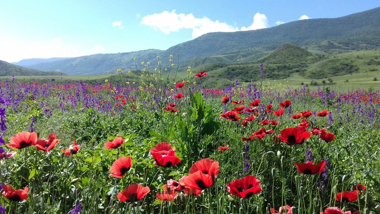 Фантастическая Грузия! 7 дней ярких впечатлений с душевным гидом Сандро (267/420)