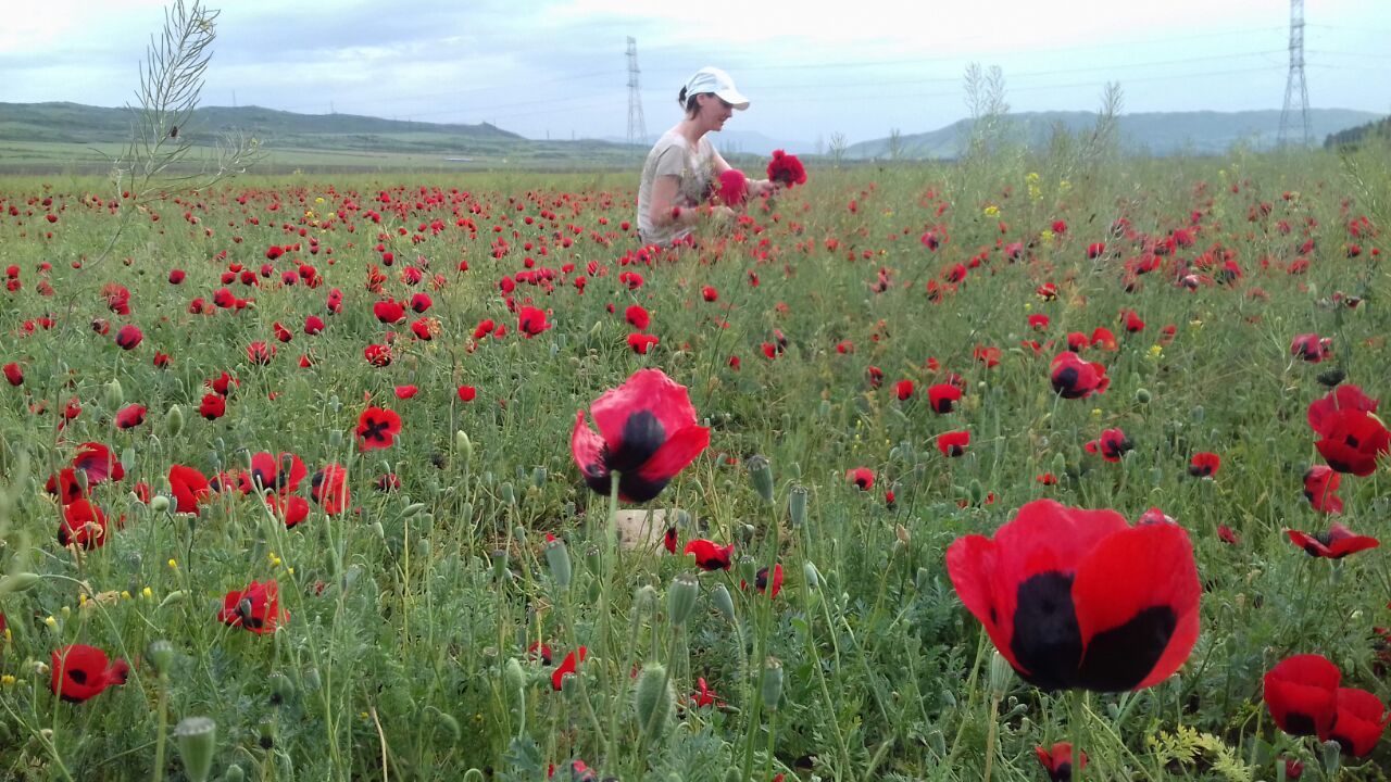 Фантастическая Грузия! 7 дней ярких впечатлений с душевным гидом Сандро (274/420)