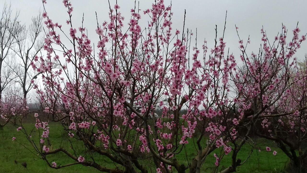 Фантастическая Грузия! 7 дней ярких впечатлений с душевным гидом Сандро (281/420)