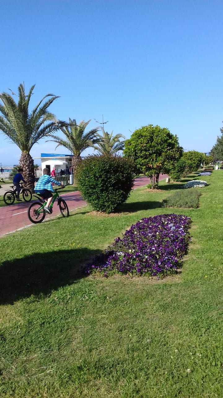 Фантастическая Грузия! 7 дней ярких впечатлений с душевным гидом Сандро (182/420)