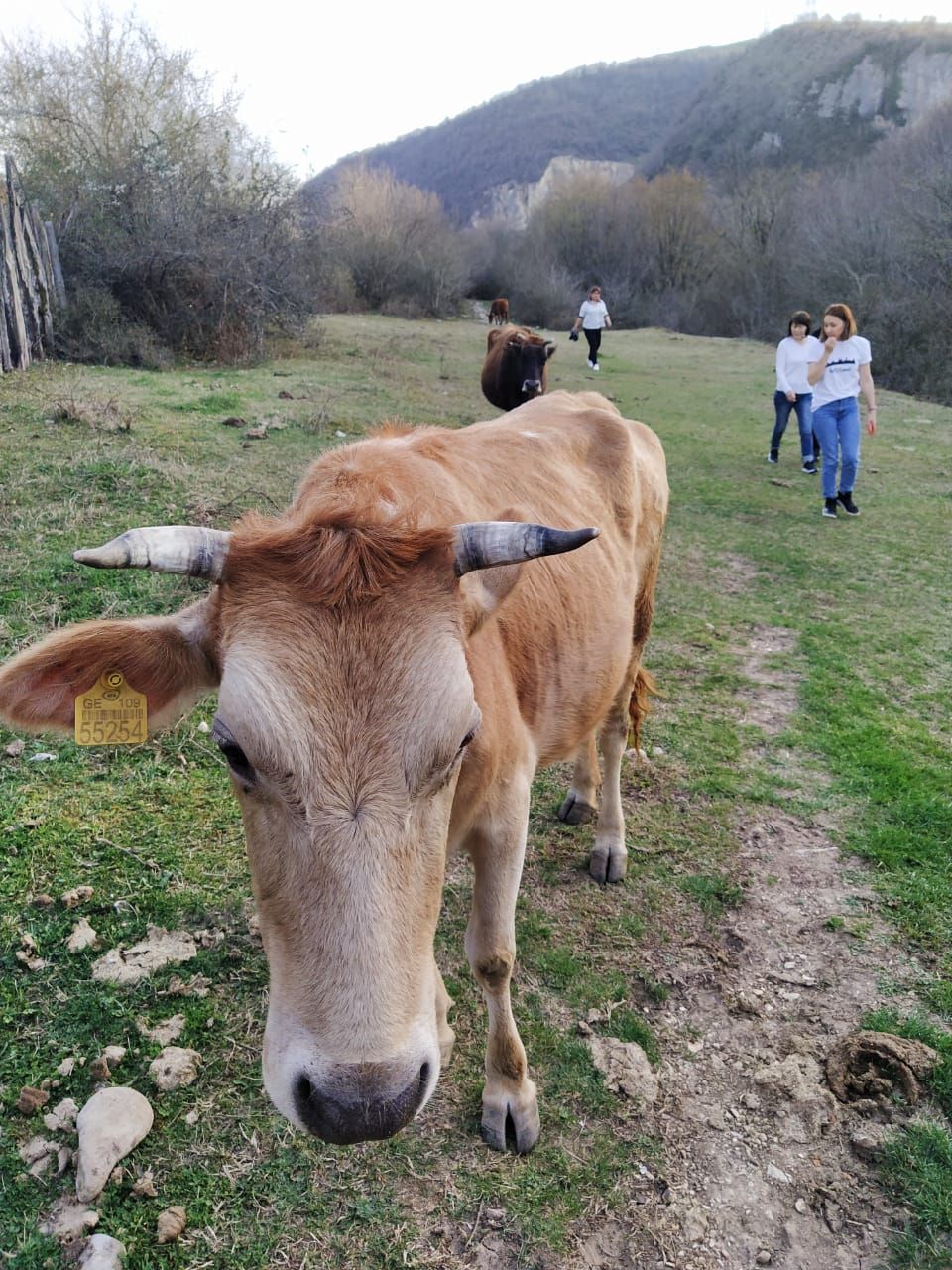 Фантастическая Грузия! 7 дней ярких впечатлений с душевным гидом Сандро (115/420)