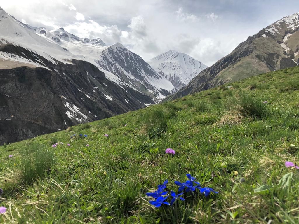 Фантастическая Грузия! 7 дней ярких впечатлений с душевным гидом Сандро (56/420)