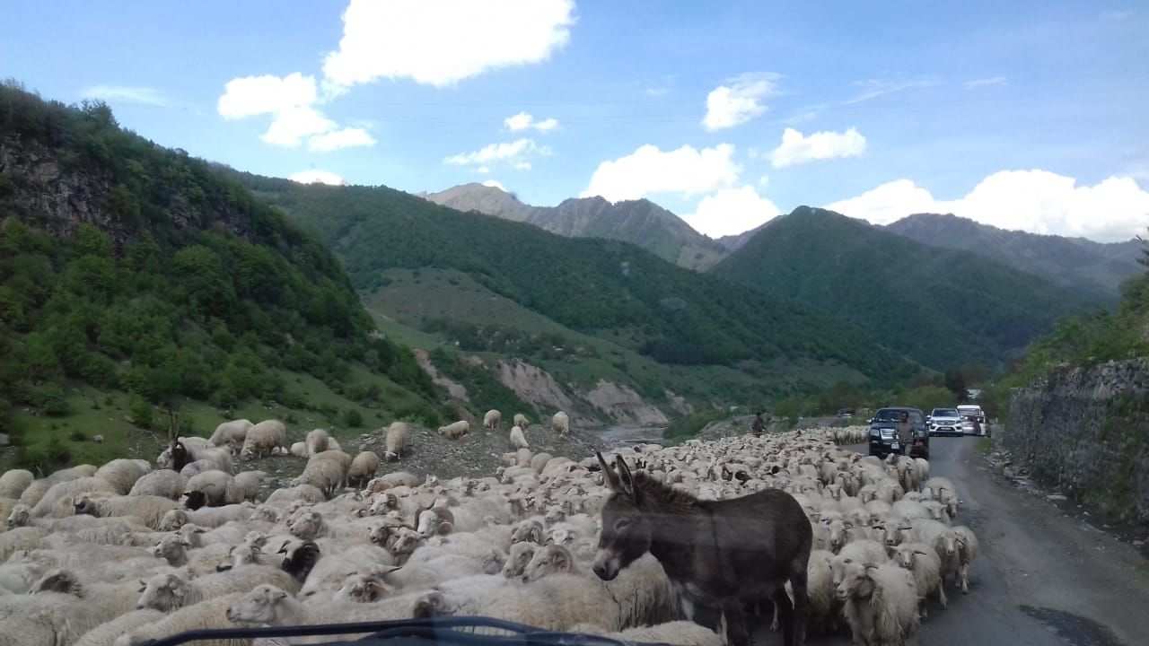 Фантастическая Грузия! 7 дней ярких впечатлений с душевным гидом Сандро (158/420)