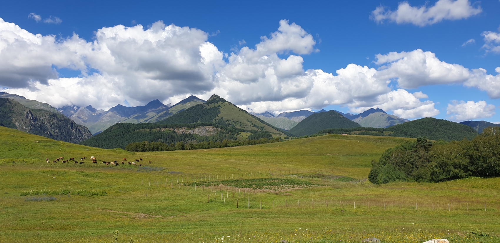 Трехдневный тур по Тушетии (25/60)