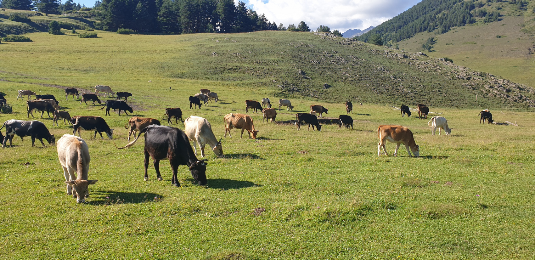 Трехдневный тур по Тушетии (34/60)