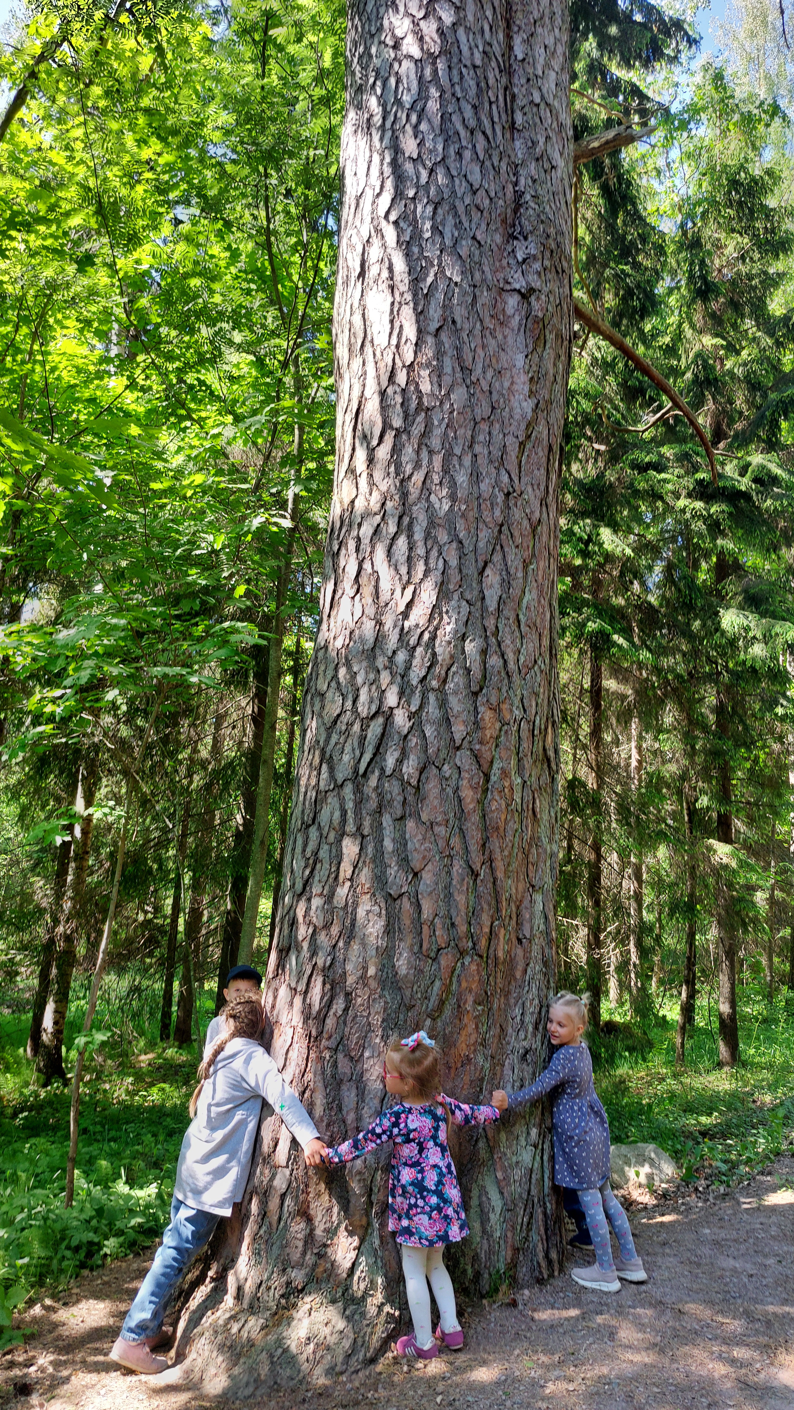 Душа Карелии (5/15)