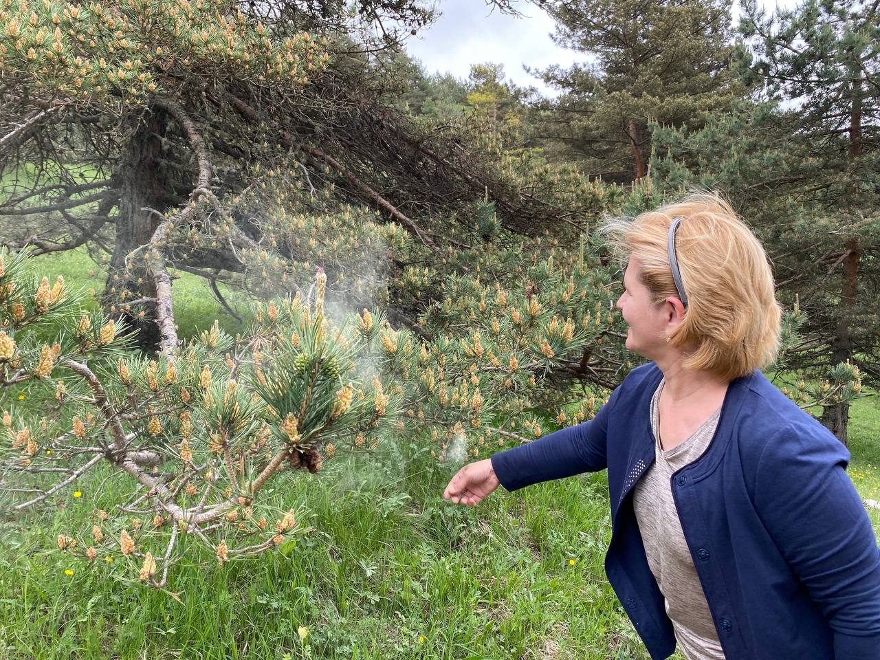 Тур на выходные. Открой Ингушетию за 3 дня! (43/97)