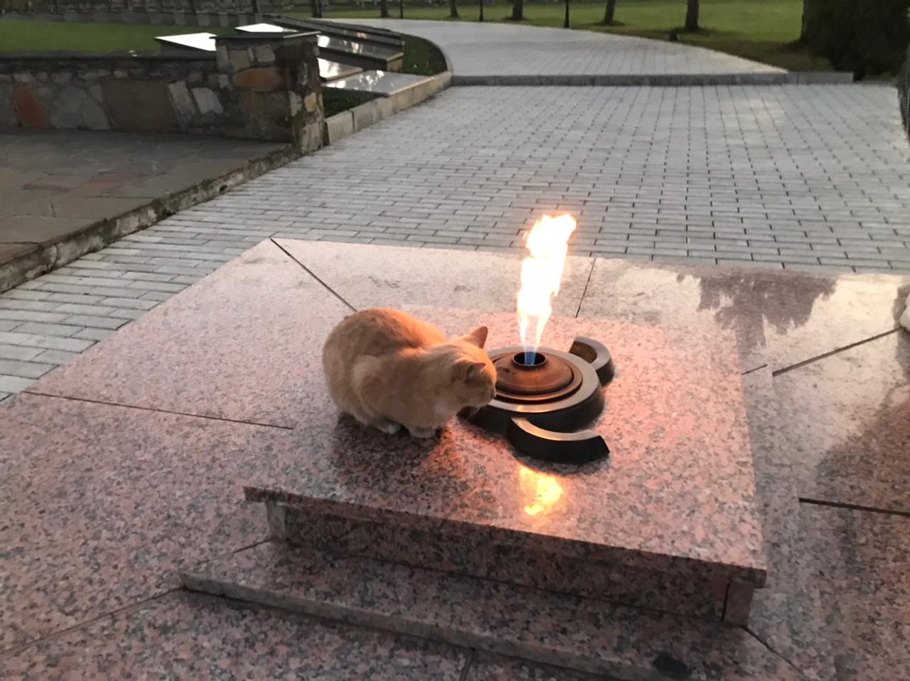 Тур на выходные. Открой Ингушетию за 3 дня! (83/97)