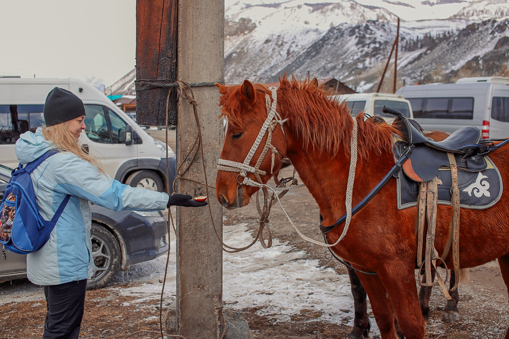 Весенний Алтай: фиолетовые горы и места силы (3/18)