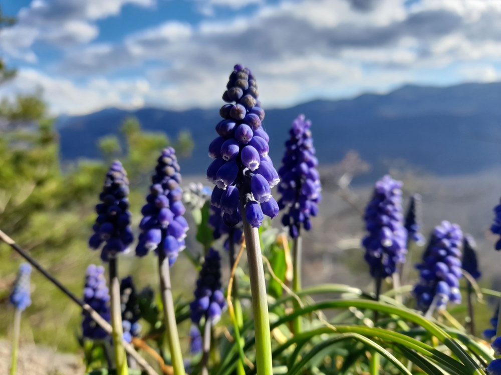 Семейная Адыгея: основы туризма (комфорт) (14/22)