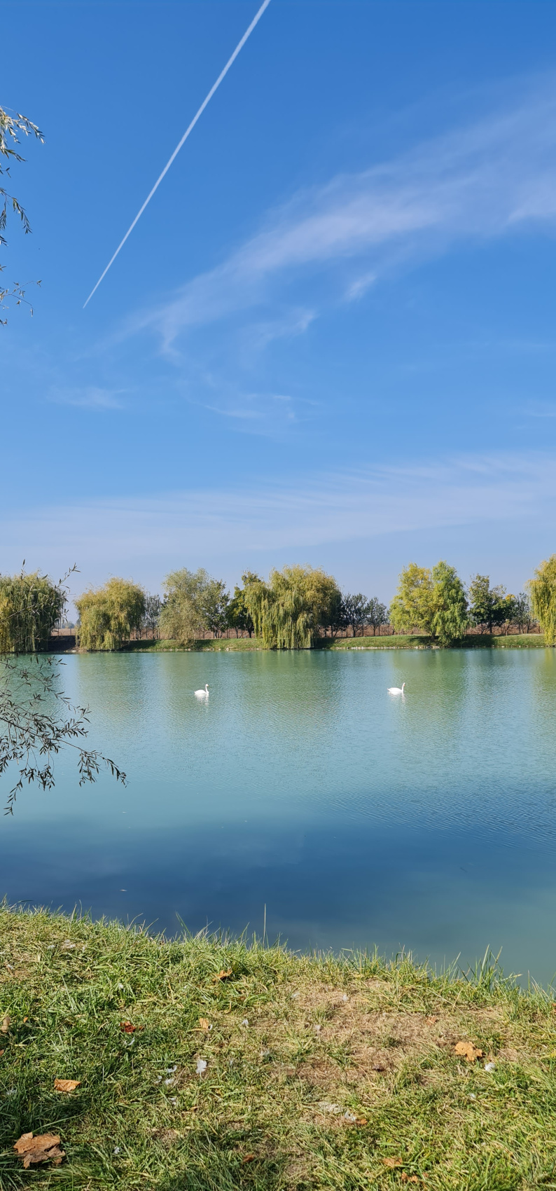 4 ярких впечатления с южным горячим сердцем! (51/229)