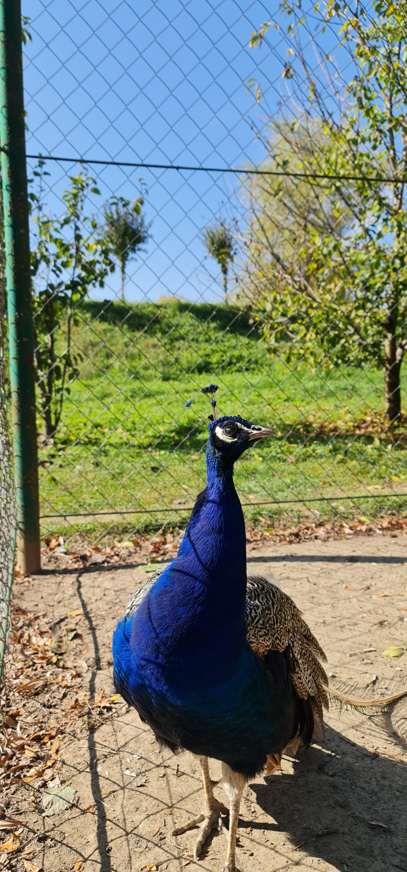4 ярких впечатления с южным горячим сердцем! (56/229)