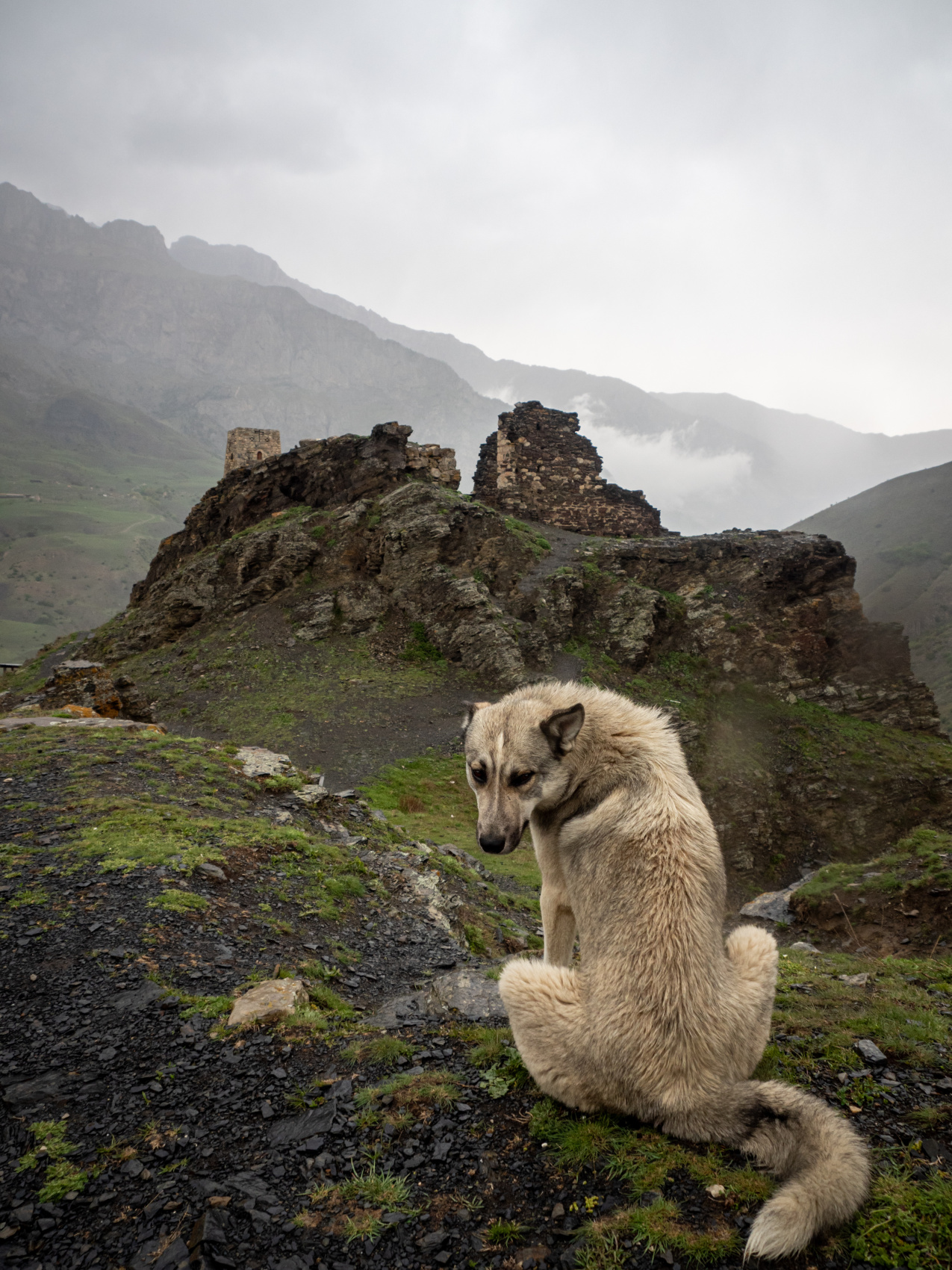 Северная Осетия с фотографом / Всё включено (41/66)