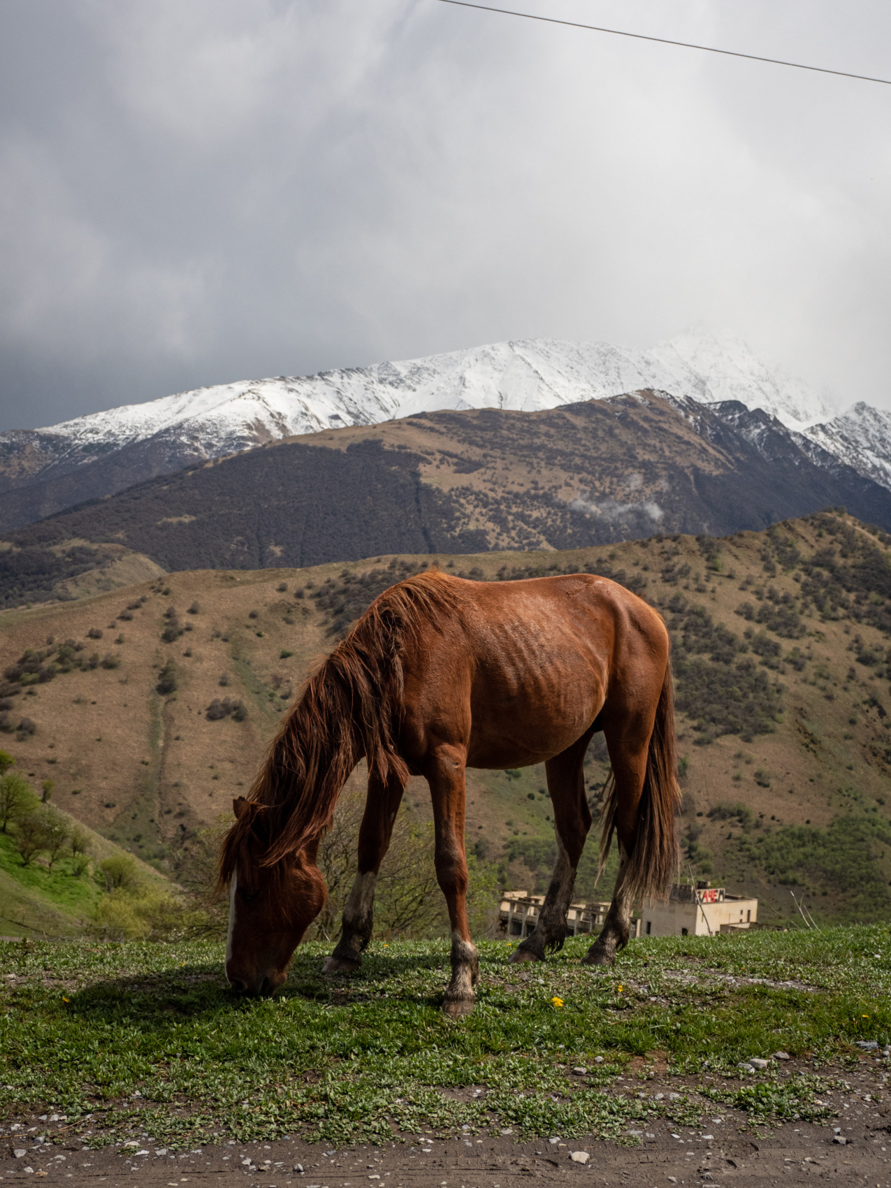 Северная Осетия с фотографом / Всё включено (53/66)