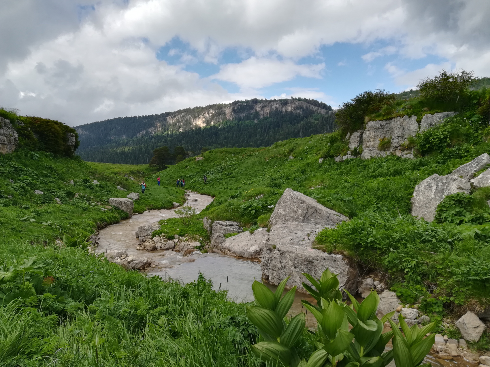 Активный отдых в Адыгее (комфорт) (5/29)