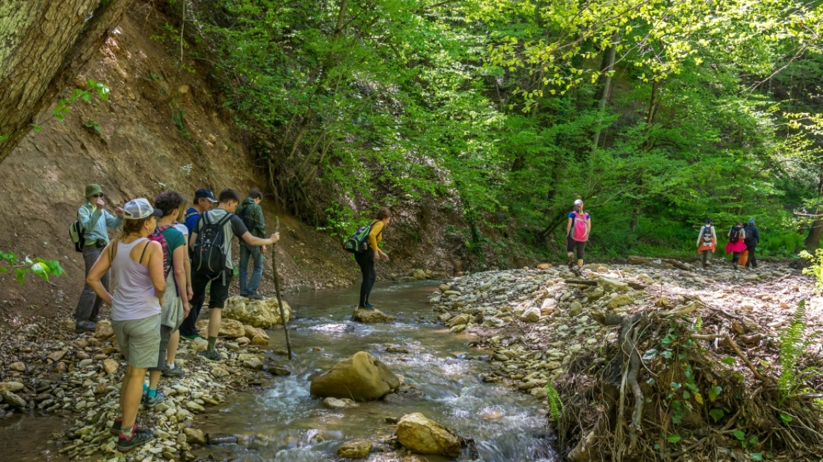 Активный отдых в Адыгее (комфорт) (7/29)