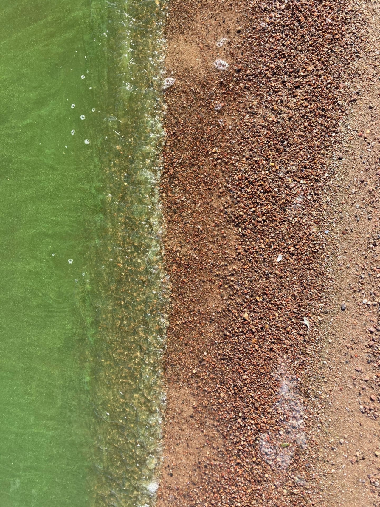 Талабские острова с ночевкой на острове и Чудское озеро Все Включено! (20/32)