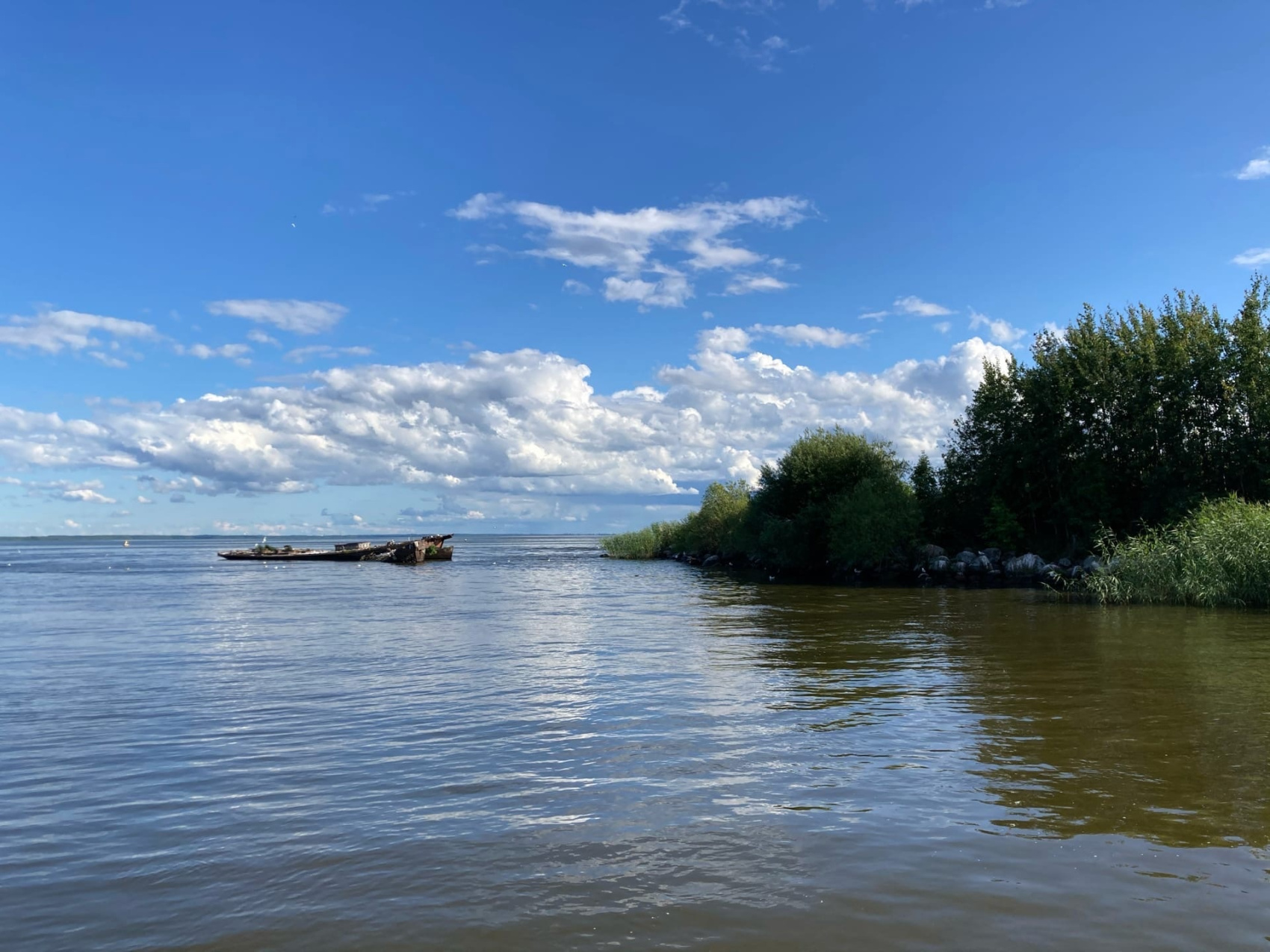 Талабские острова с ночевкой на острове и Чудское озеро Все Включено! (21/32)