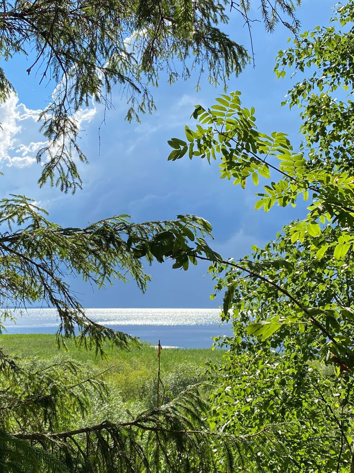 Талабские острова с ночевкой на острове и Чудское озеро Все Включено! (8/32)