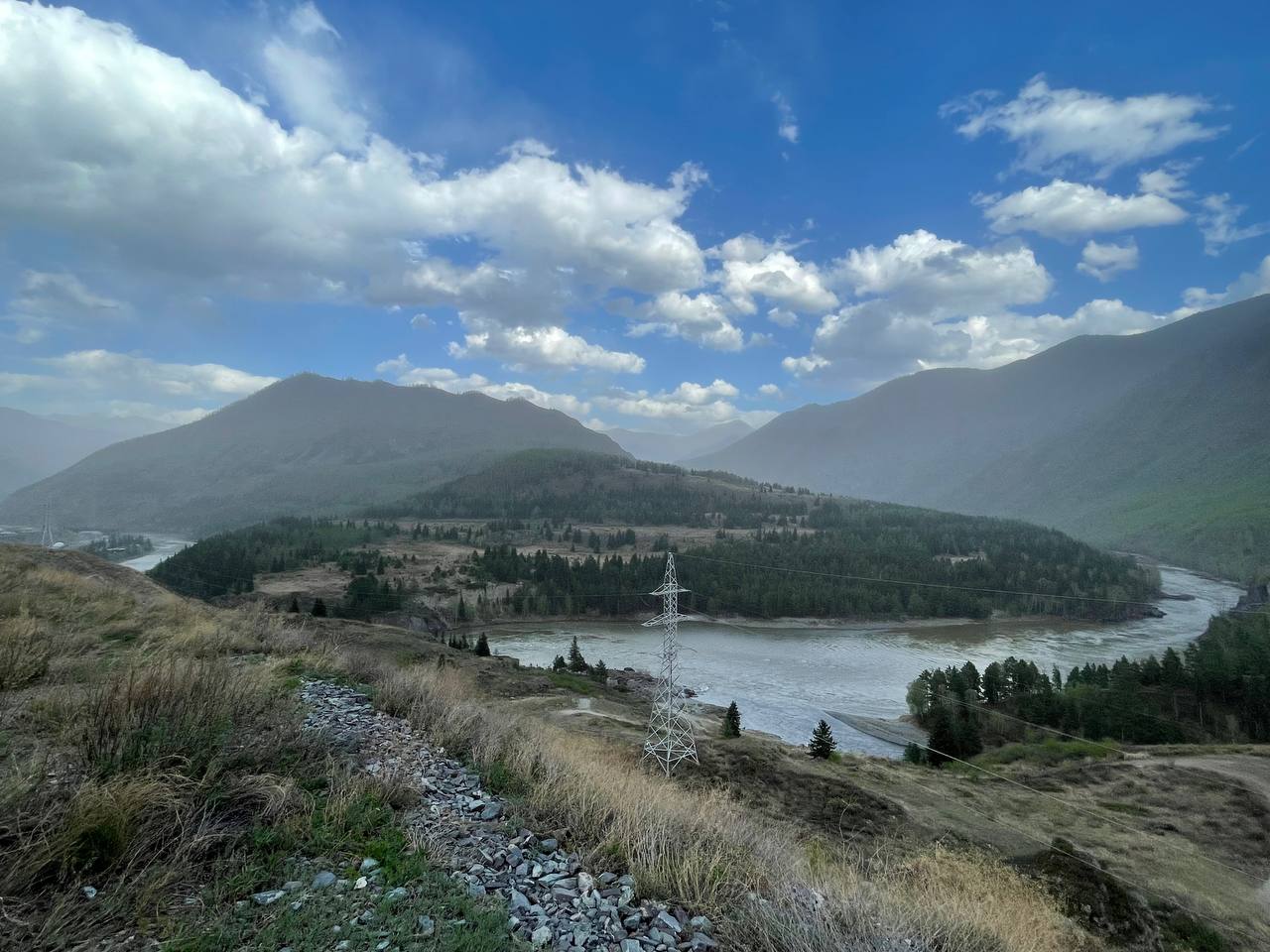 ВЕСЬ АЛТАЙ: пока цветёт алтайская сакура (8/38)