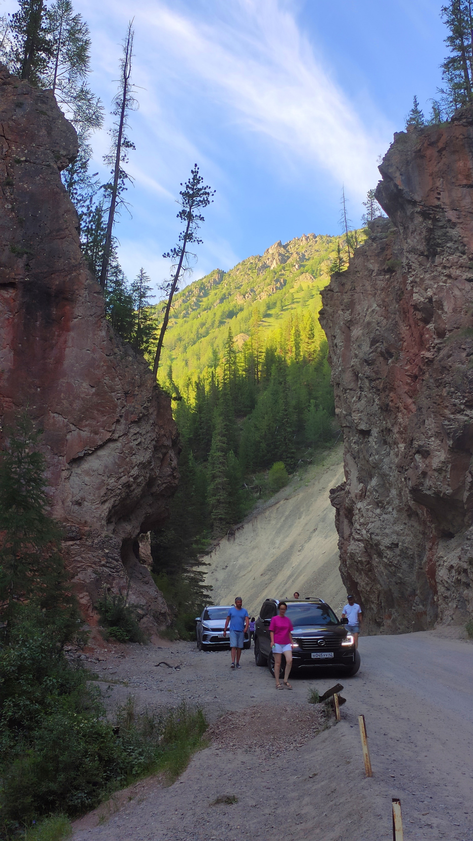 ВЕСЬ АЛТАЙ: пока цветёт алтайская сакура (28/38)