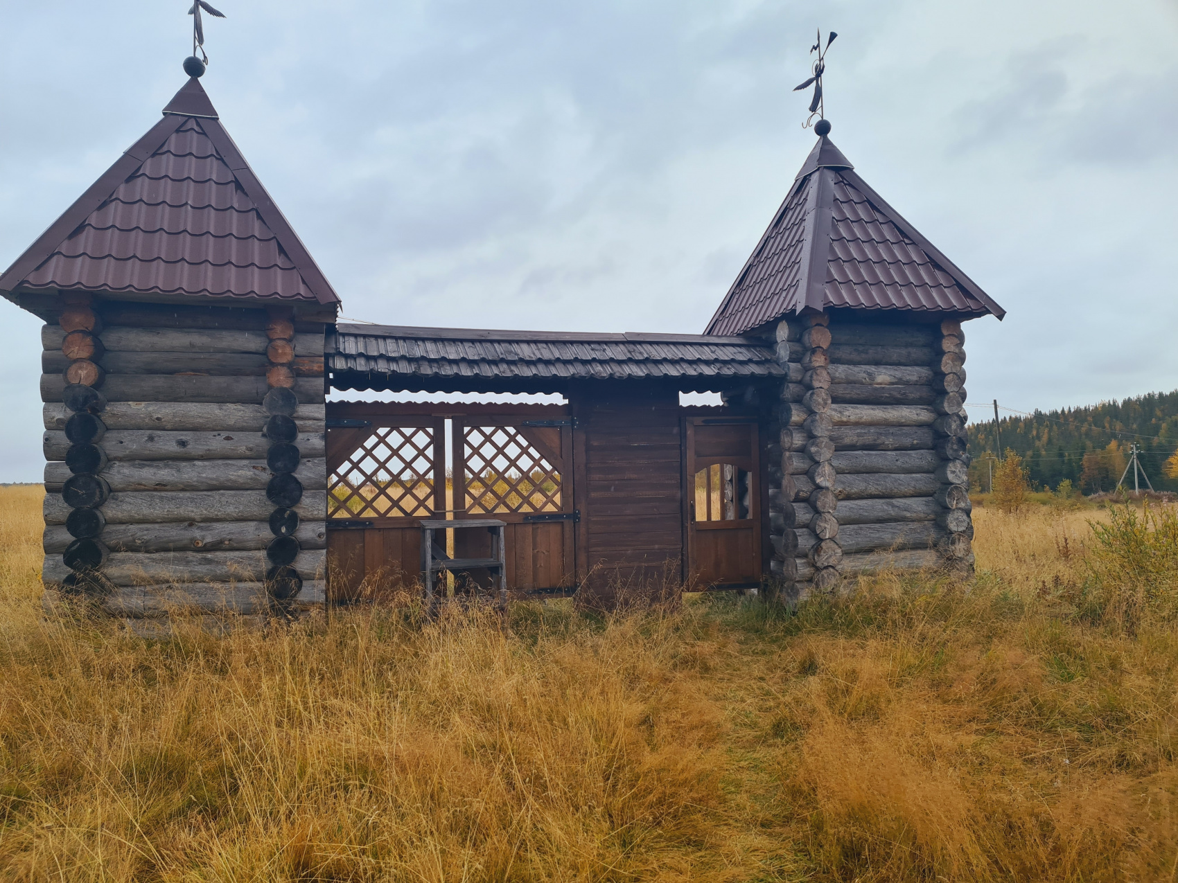 Наследие Кольского - Поморы, Петроглифы Белого моря, Варзуга, Умба (13/75)