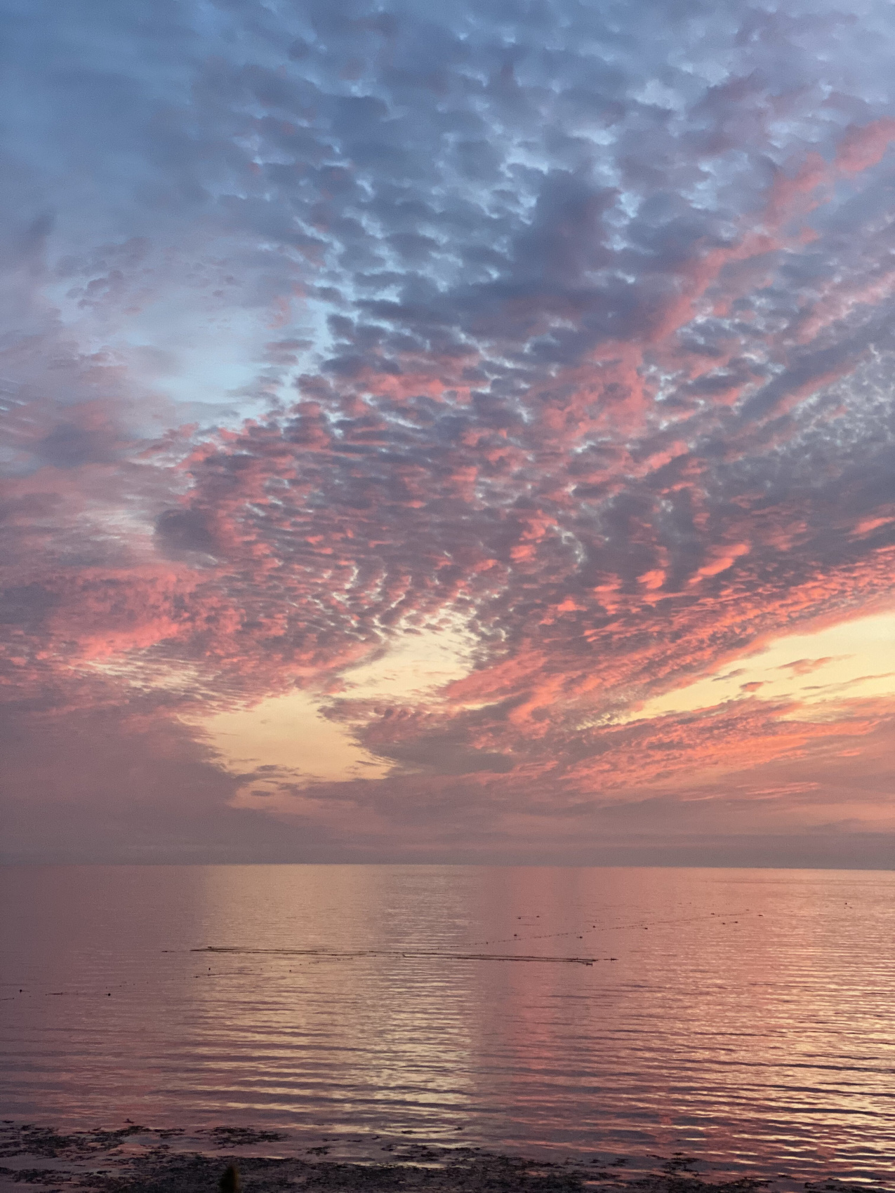 2 острова: Сахалин - Итуруп (13/38)