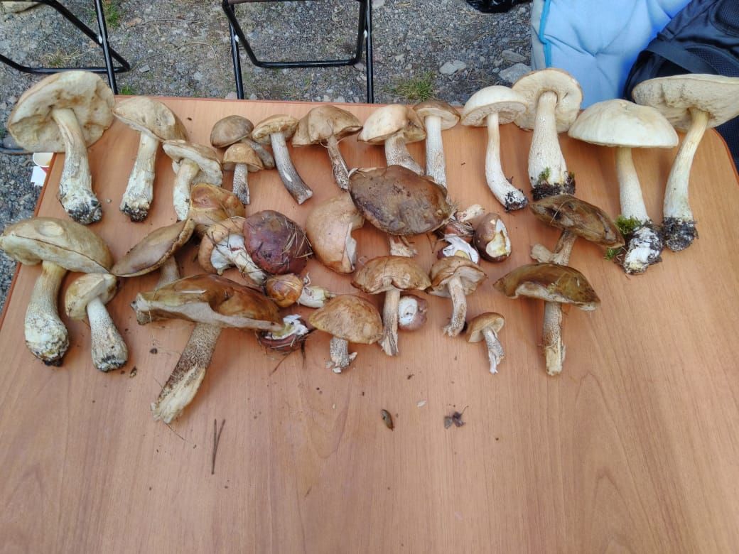 В горы на Автодоме (36/56)