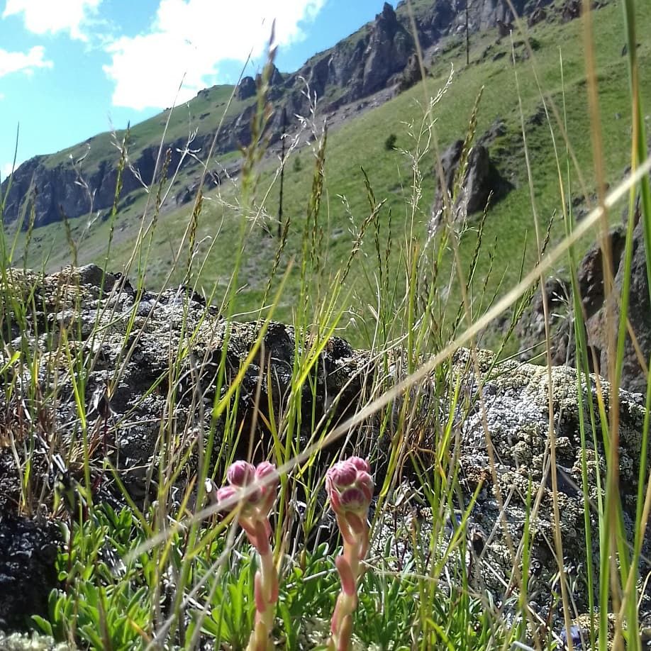 В горы на Автодоме (11/56)