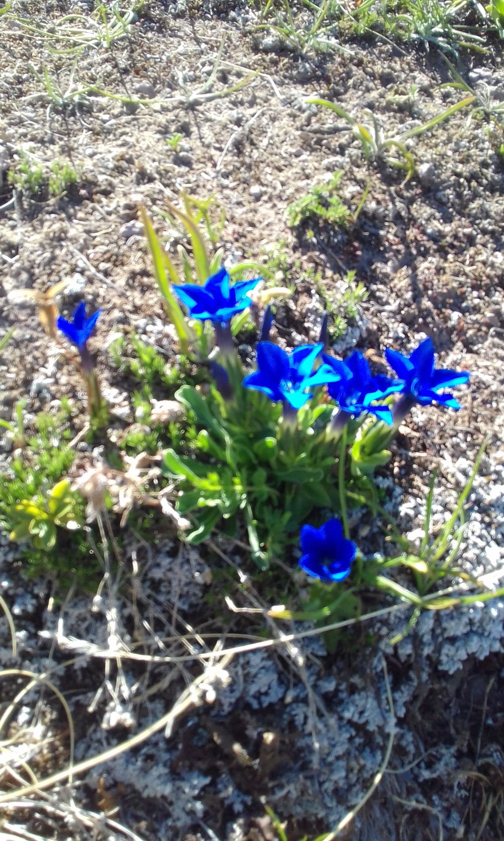 В горы на Автодоме (18/56)