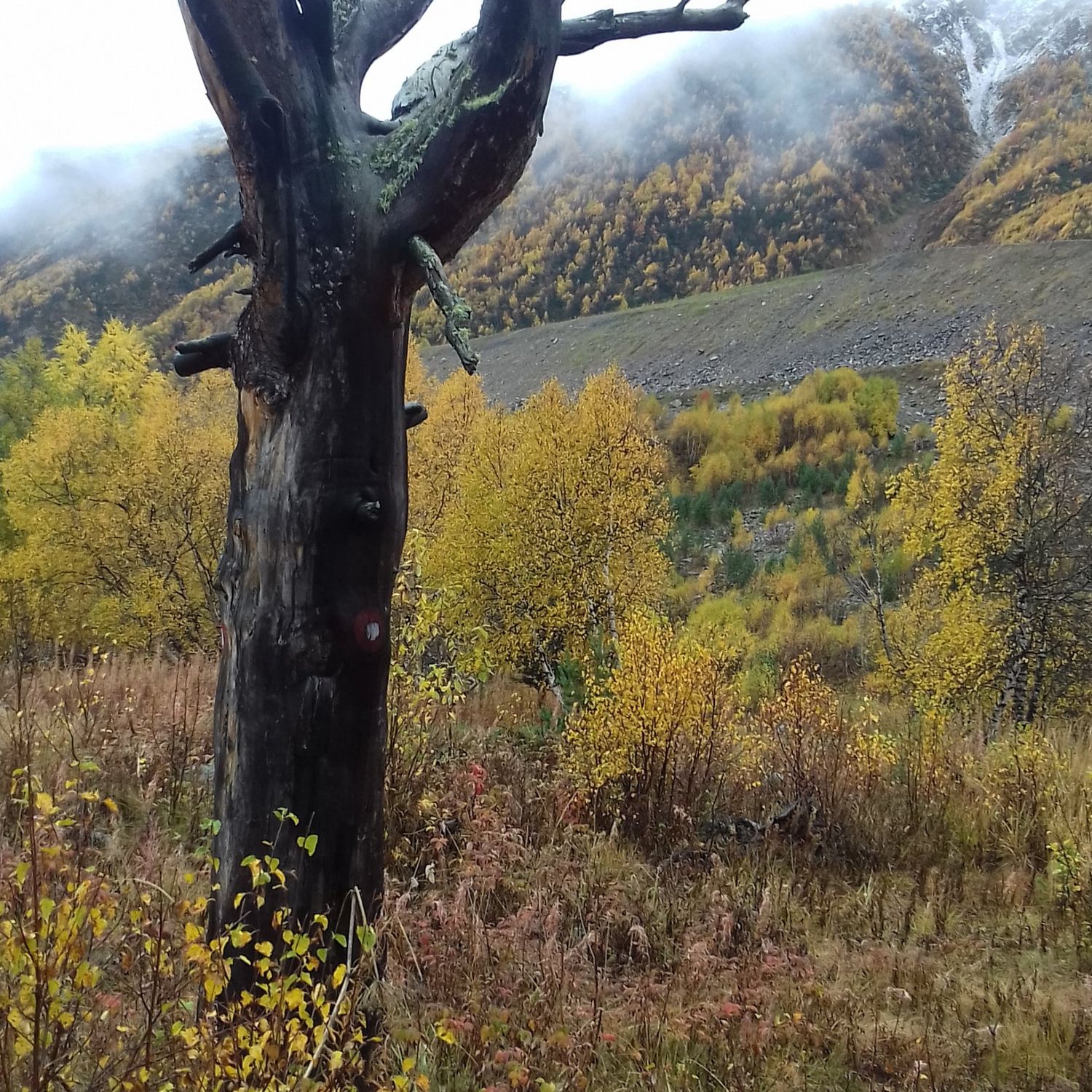 В горы на Автодоме (28/56)