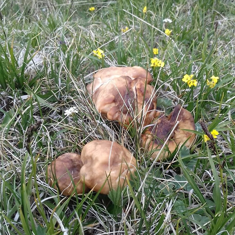 В горы на Автодоме (21/56)