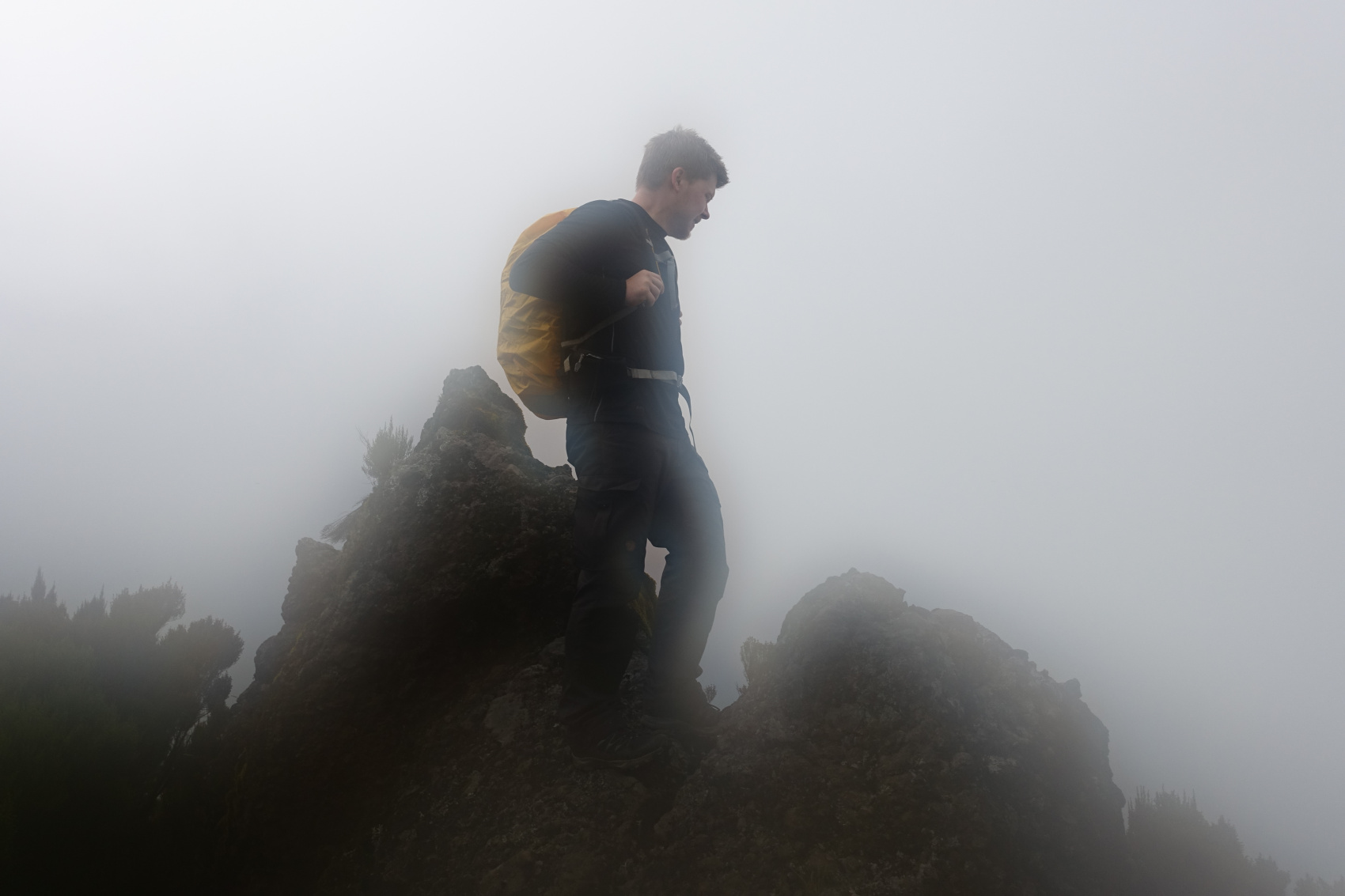 6-дневный поход на Килиманджаро по маршруту Мачаме (2/29)