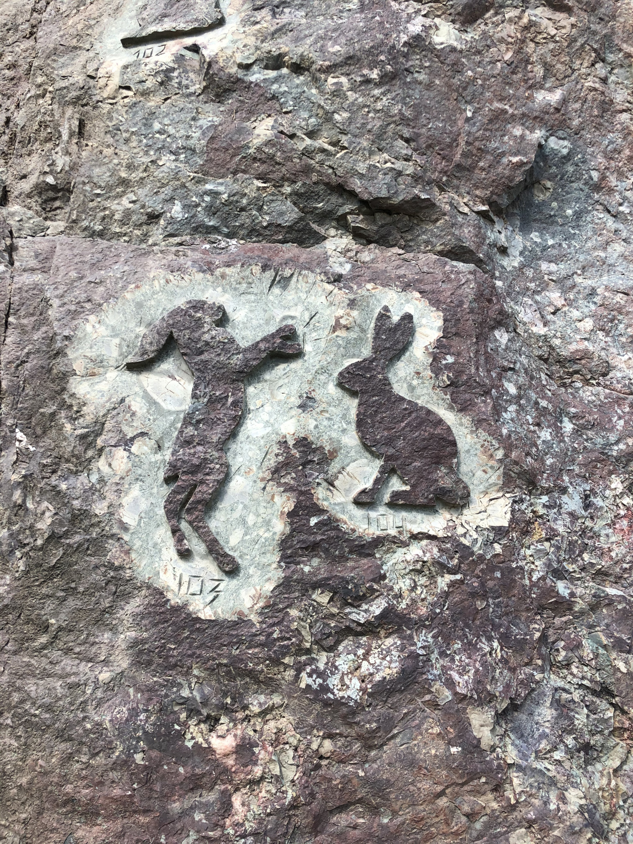 Карелия. Увидеть всё! (6/61)