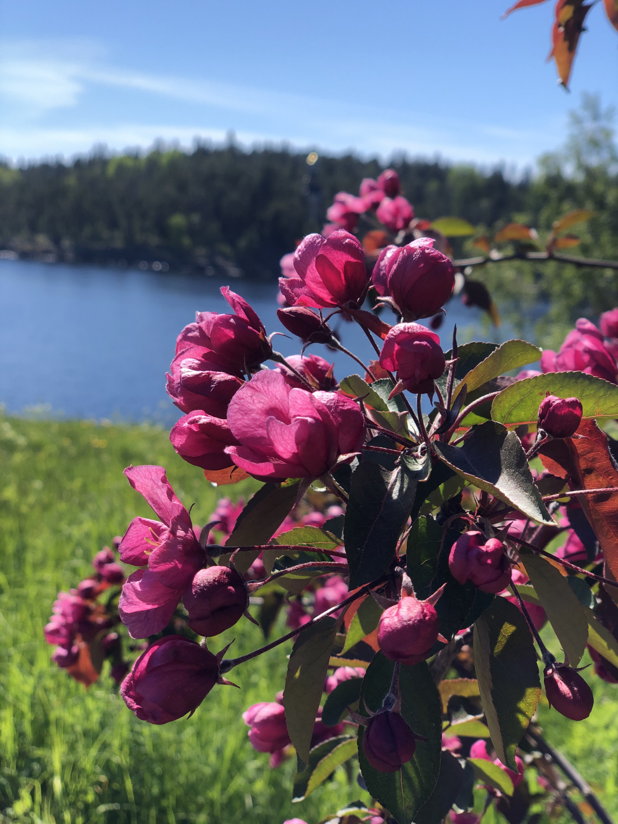 Карелия. Увидеть всё! (21/61)