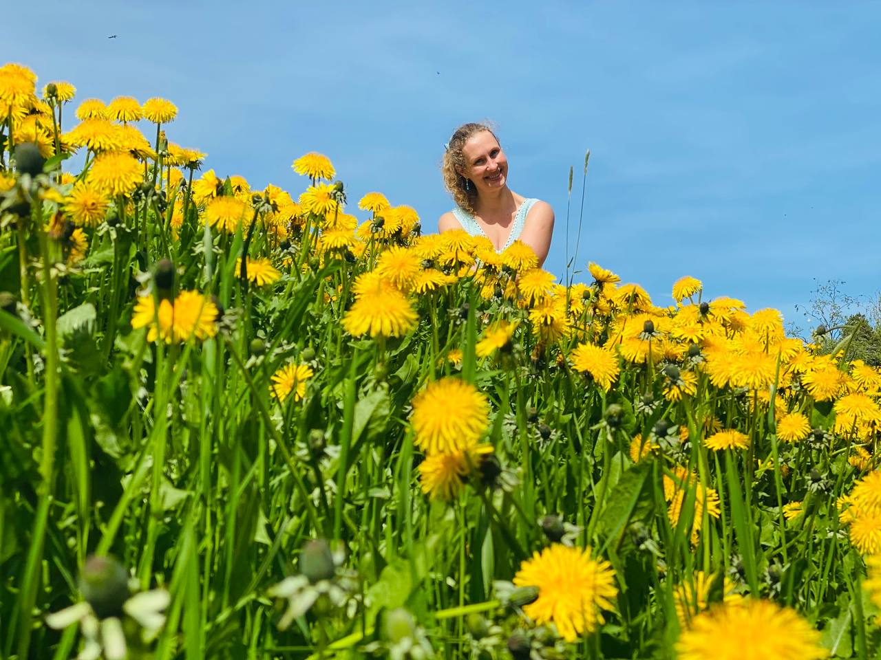 Карелия. Увидеть всё! (18/61)