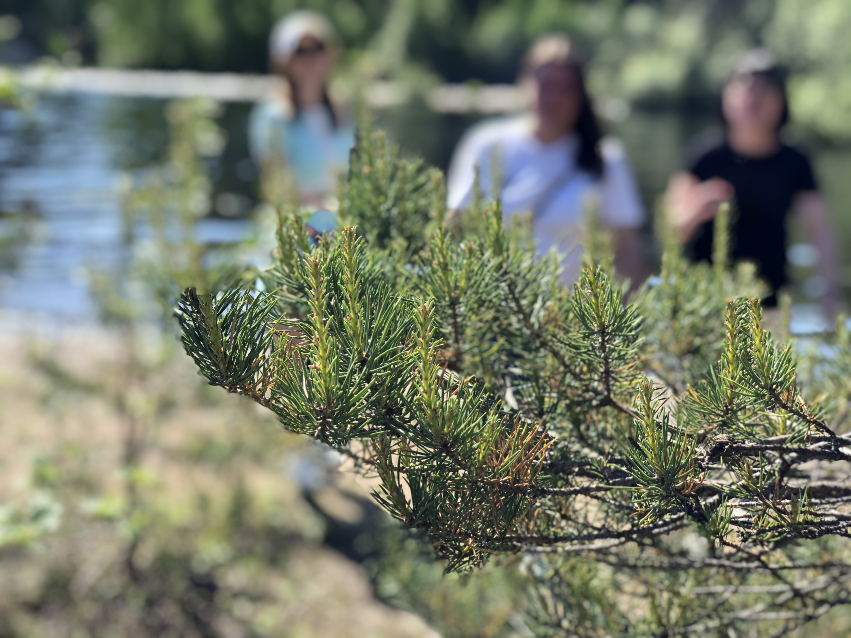 Карелия. Увидеть всё! (7/61)