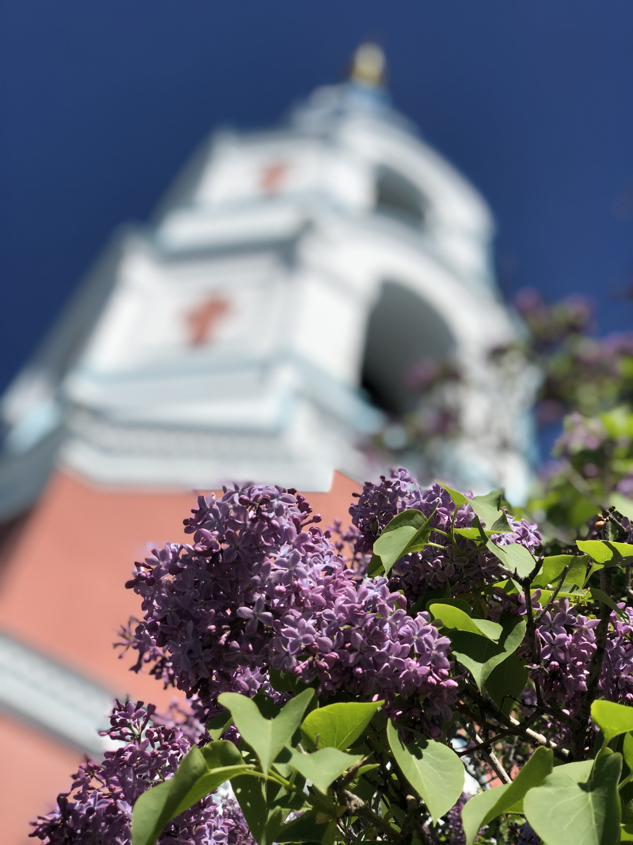 Карелия. Увидеть всё! (24/61)