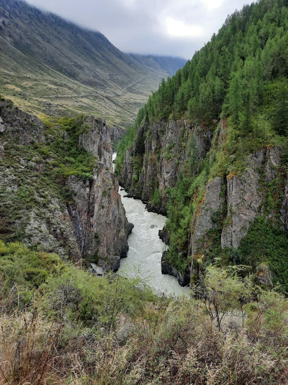 Перезагрузка. Через весь Алтай с комфортом. Хит! (12/29)